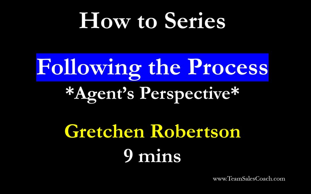 Following the Process from the Agent’s Perspective – Platinum version