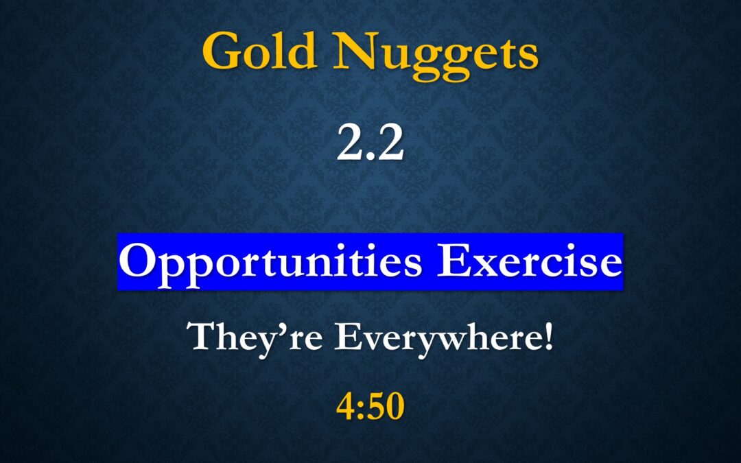 Gold Nuggets 2.2 – Opportunities Excercise