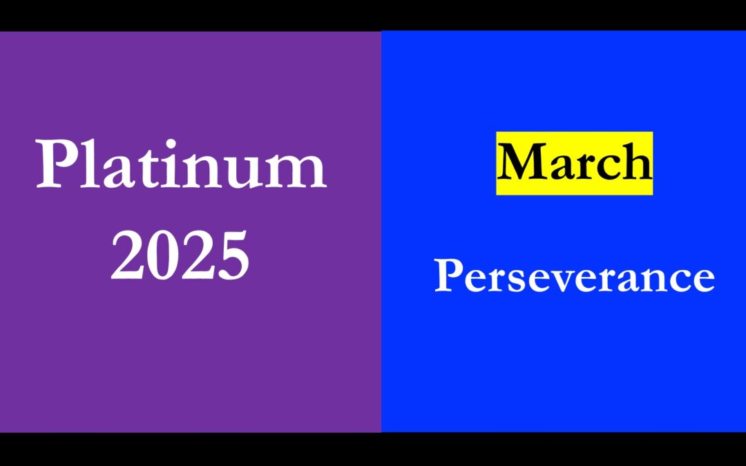 Platinum 2025 – March – Perseverance