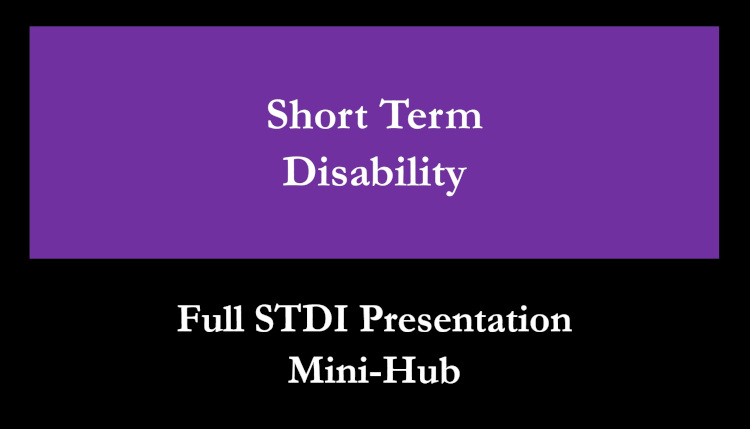 STDI – Full Presentation Mini-Hub